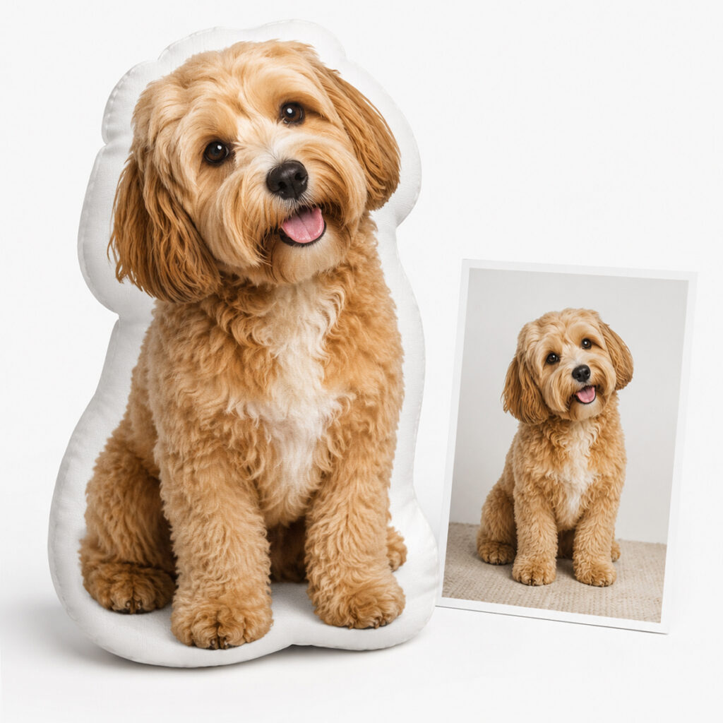 Custom Shaped Pillow